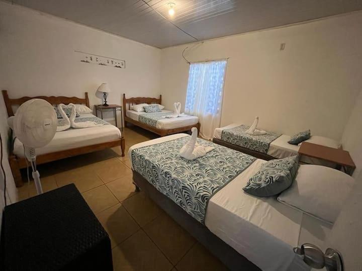 Casa Artavia Villa Tortuguero Exteriör bild